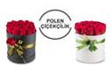 Polen Çiçekçilik  - İstanbul